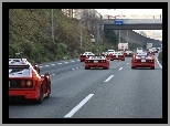 Ferrari F 40, Zlot, Miłośników