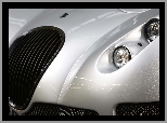 Grill, Wiesmann GT MF5